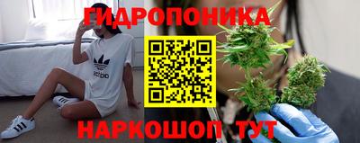 ГАЛЛЮЦИНОГЕННЫЕ ГРИБЫ Будённовск