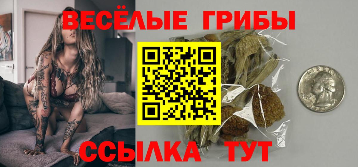 Прохладный  как найти закладки  Вход с VPN  Псилоцибиновые грибы прущие грибы 